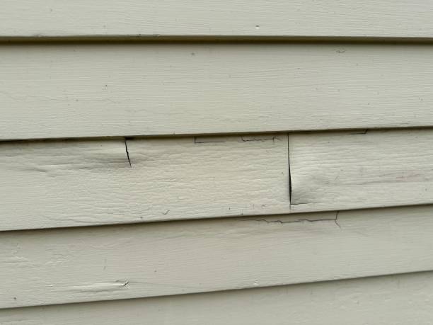 Affordable Siding Repair and Maintenance Services in Milwaukee, WI